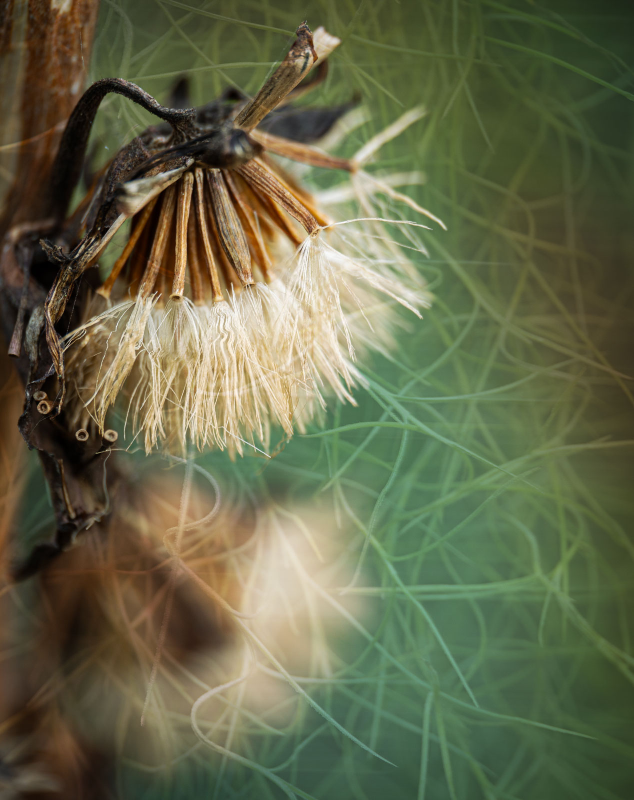 She Clicks Meet Up at Wisley